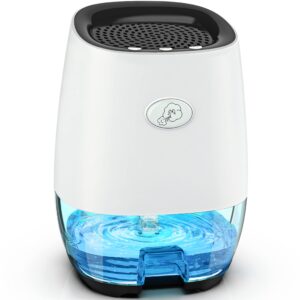 Dehumidifier